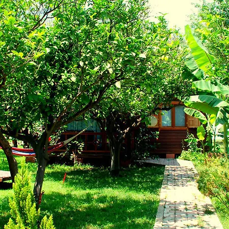 Baraka House Maison d'hôtes